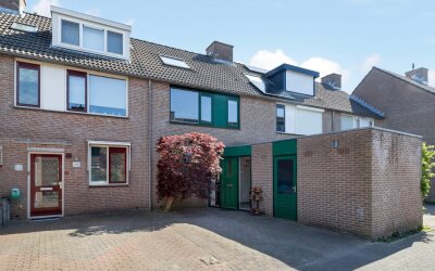 Heidevlinder 8
