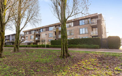 Springerstraat 119