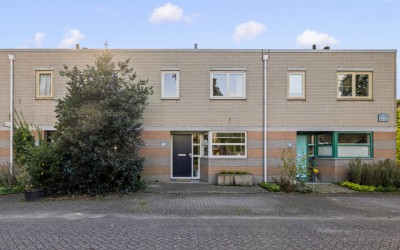 De Ontmoeting 24