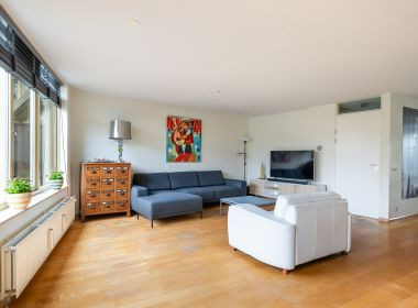 De Rode Leeuw 31