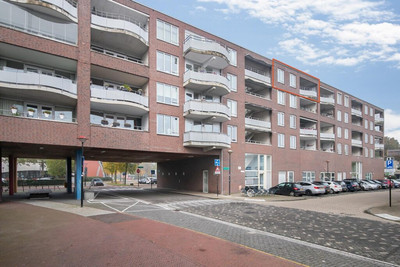 Noorderlicht 31