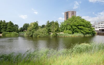 Watersteeg 49