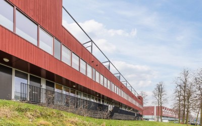 Meerval 17