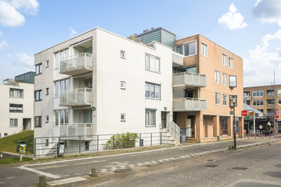Leverkruid 17