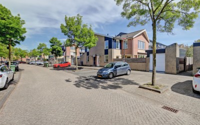 Sikkelkruid 14