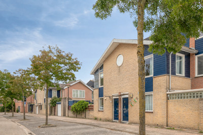 Sikkelkruid 20