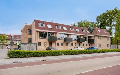 Zuivelhof 49