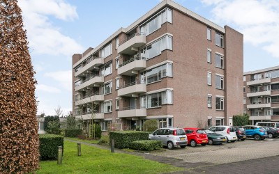 Zaaier 62