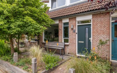 Schaapherder 17