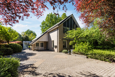 Kuulekamp 11