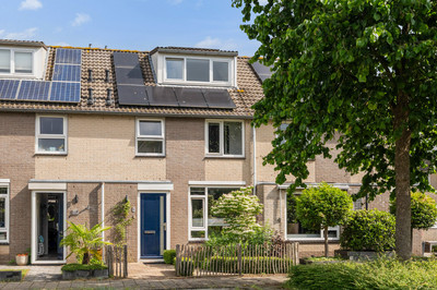 Koperwiek 4