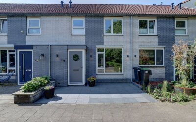Groenling 31