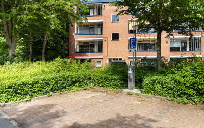 Wittenburg 19