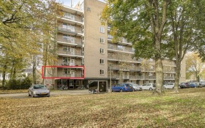 Van Oldenbarneveltstraat 501