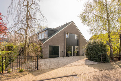 Boterbloem 25