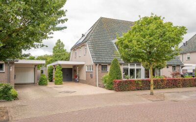 Boterbloem 6