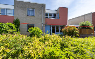Schoener 2