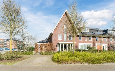 Zijdevlinder 117