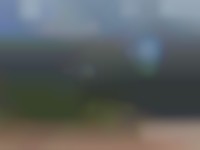 Veenerf 4