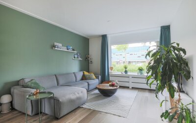 Ridderspoor 3