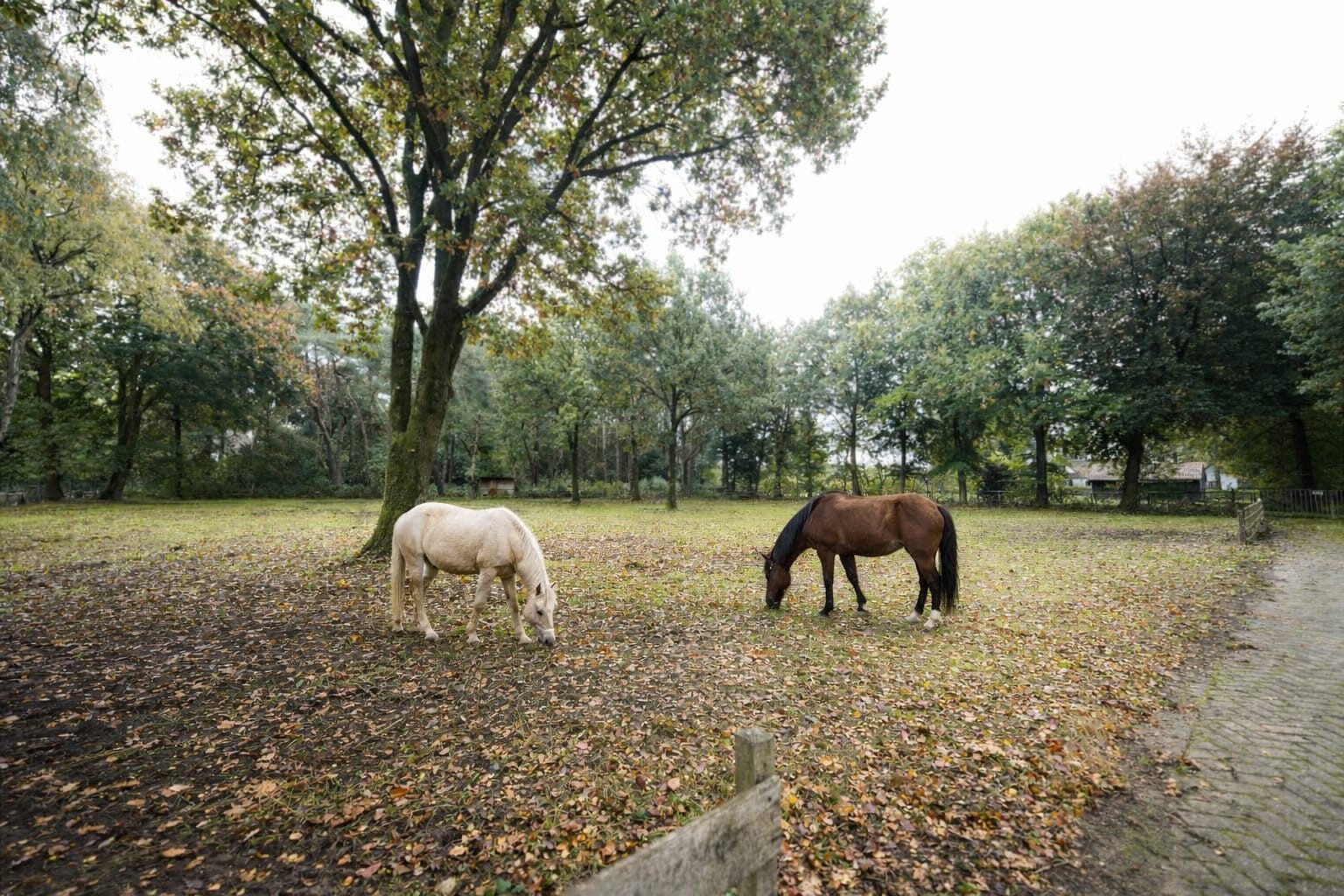 Vrijstaande woning te koop: Domeinenweg 4, Putten