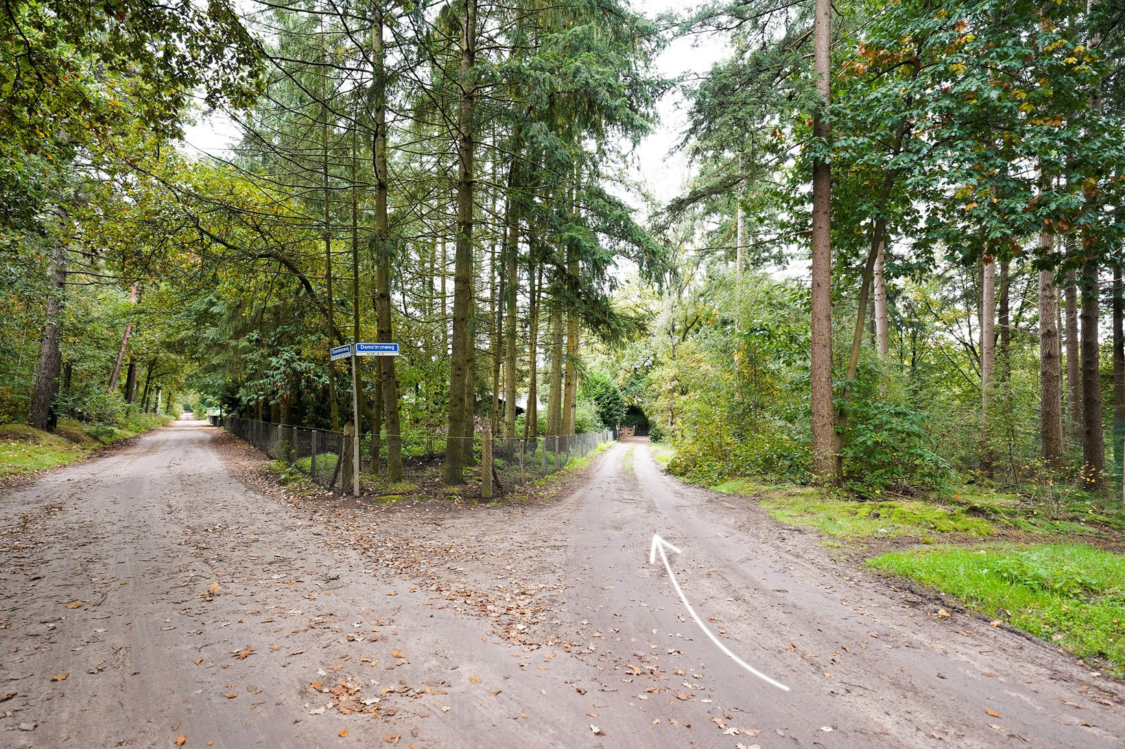 Vrijstaande woning te koop: Domeinenweg 4, Putten