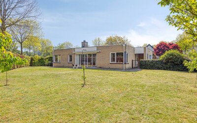 Zilverschoon 1