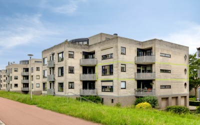 Sterrekruid 61
