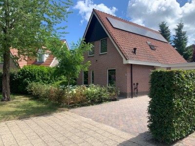 Kamgras 6