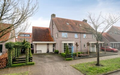 Groene Specht 9