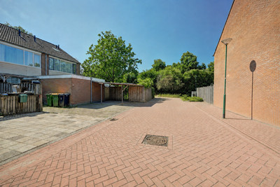 Lemoen 31