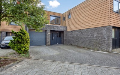 Franjezwam 14