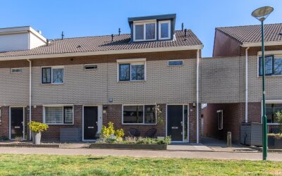 Honingzwam 35