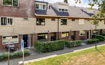 Honingzwam 49