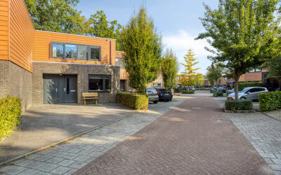 Satijnzwam 11