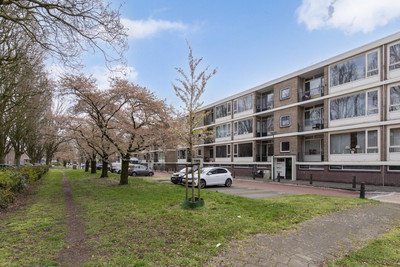 Jan Steenlaan 59-02