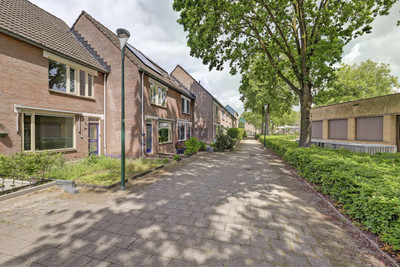 Stormzwaluw 20