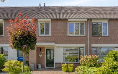 Goudvink 35