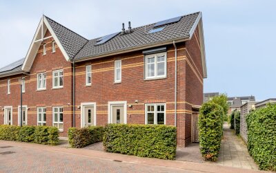 Aalscholver 7