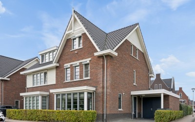 Gouden Regen 50