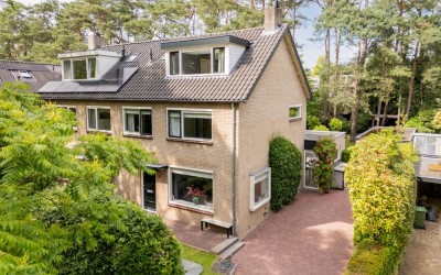 Witte de Withlaan 10