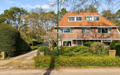 de Wetstein Pfisterlaan 20