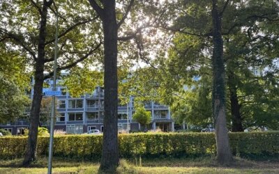 Beukenhorst 54