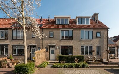 Ganzebloem 4