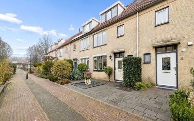 Kievitsbloem 6