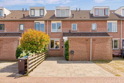 Goudsbloem 54