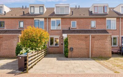 Goudsbloem 54