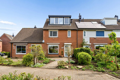 Roerdompweide 4