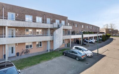 Zilvermos 21