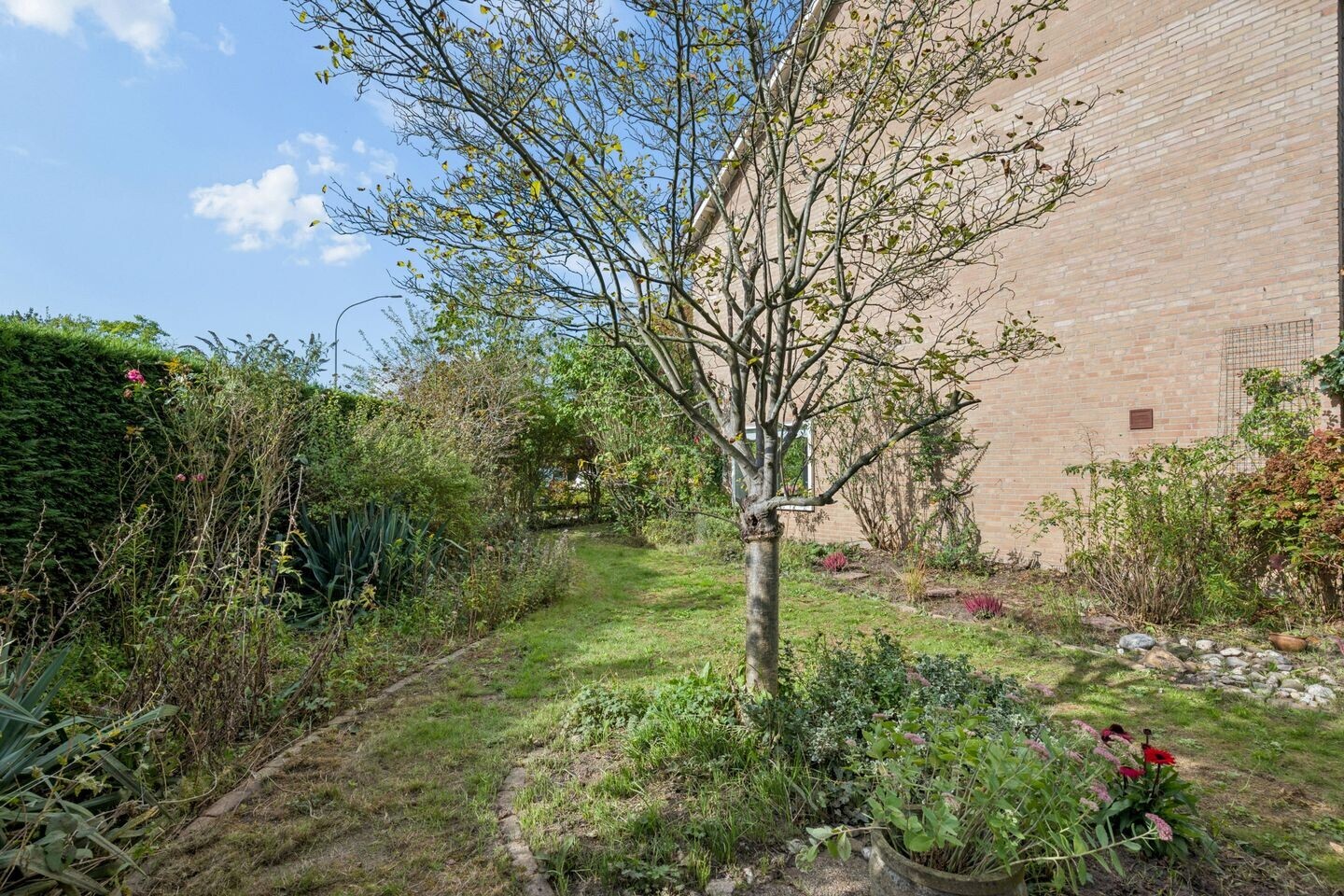 Hoekwoning te koop: Boerhaavelaan 48, Tiel